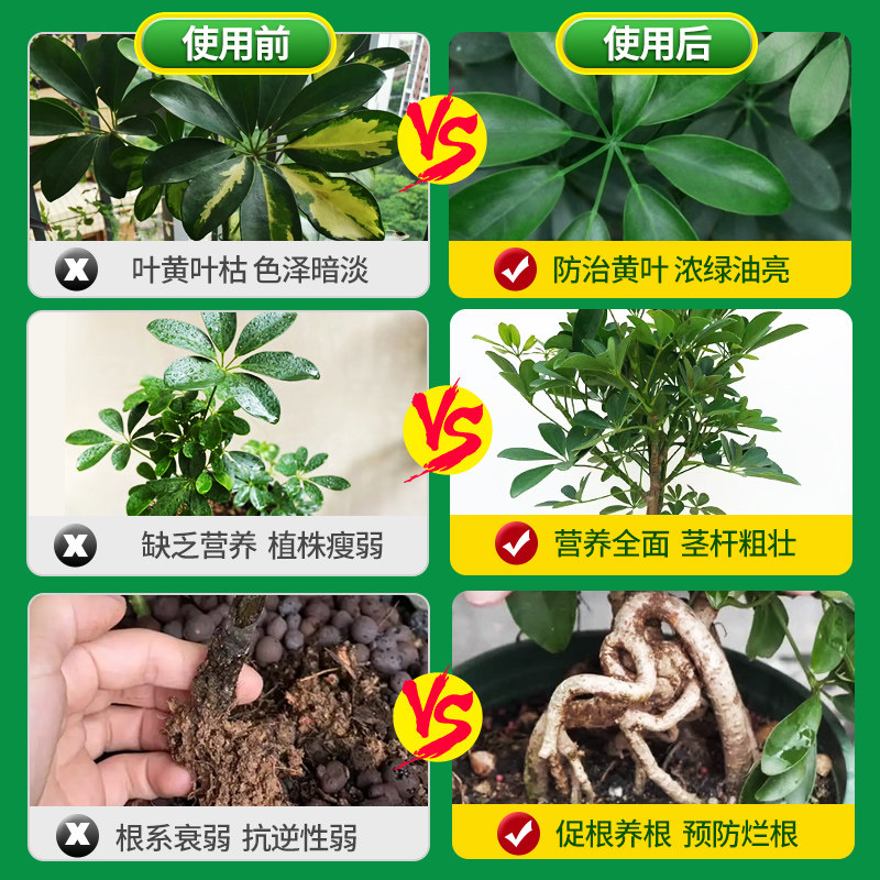 鸭脚木肥料招财树专用营养液鸭掌柴鹅掌木绿植盆栽通用型液体肥,淘宝优惠券,粉丝福利购,淘宝优惠卷