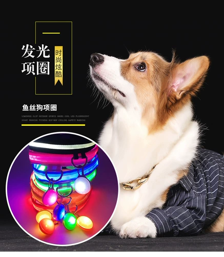 Corgi Dog Light -Emting -Emating Collar Pet Dog Shece Circle сражается с Шиба Ину Сюенари Тедди Маленький и Маленький Ину Ночи Светлый Круг Круг