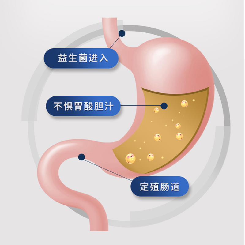 mag布拉迪酵母益生菌猫咪狗狗腹泻便软拉稀肠胃宝促销 - 图2