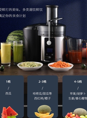 典卓双层刀网榨汁机速榨高出汁大
