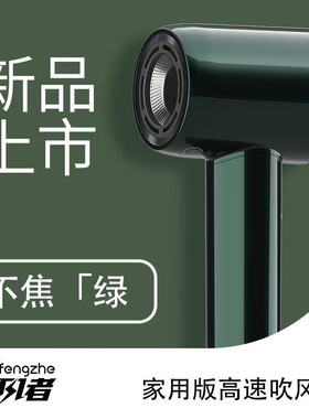 追风者吹风机家用负离子护发速干