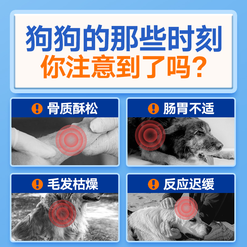 奥丁老年犬狗粮成犬小型犬通用泰迪柯基金毛高龄犬老狗专用狗粮 - 图0