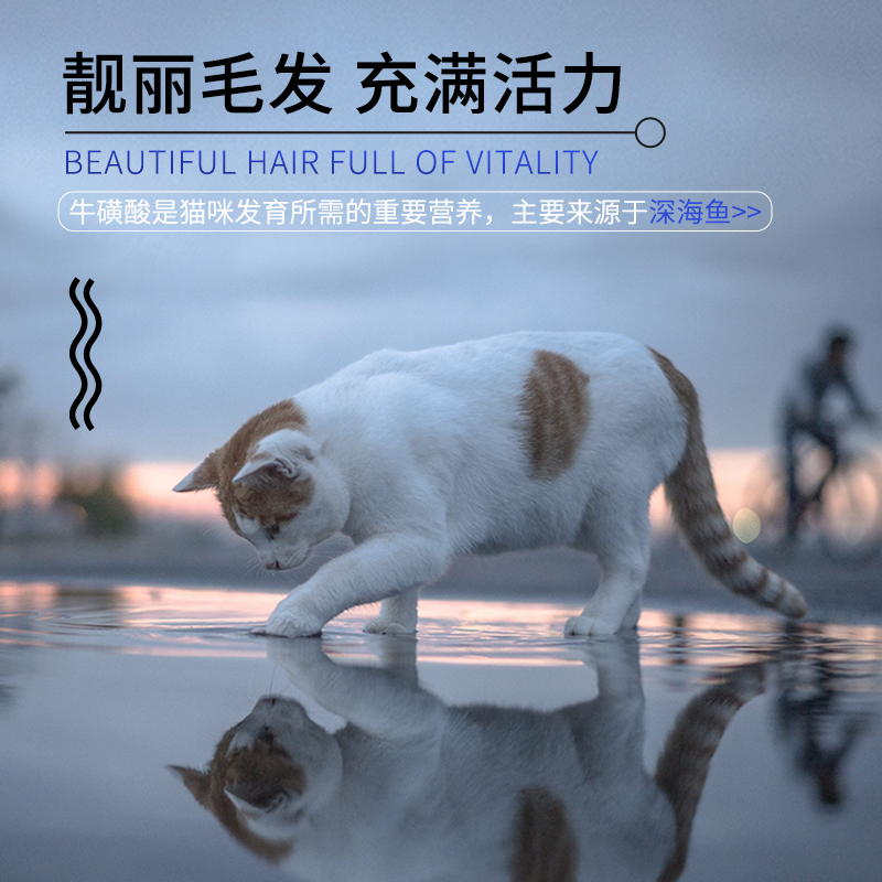 奥丁西餐厅猫粮 成猫幼猫通用型深海鱼天然粮猫饭10kg顺丰加急优惠券