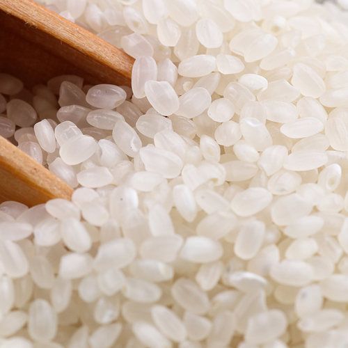 盘珠2025年新米10斤东北大米5斤盘锦蟹田米2kg真空装珍珠米2.5kg - 图2