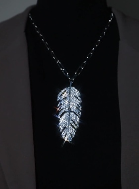 微镶羽毛项链女毛衣链