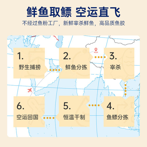 【中秋礼盒】官栈7S养宫黄花筒鱼胶干花胶干货花胶送长辈礼盒200g - 图0