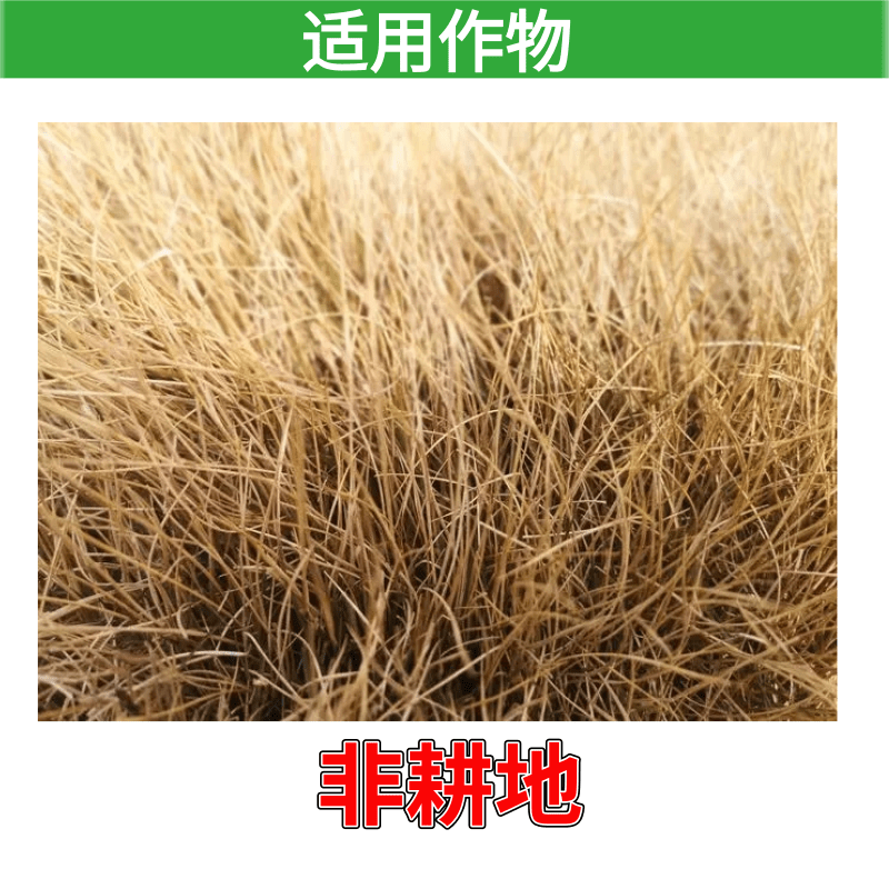 瑞东75%甲嘧磺隆非耕地抗性杂草灭根甲嘧磺蕯除草药灭生性除草剂 - 图1