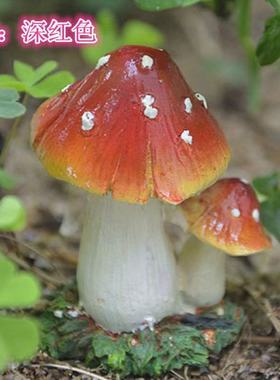 微景观制作园艺盆栽奇趣摆件甩卖