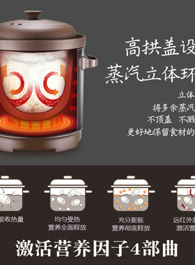 三源紫砂锅官方旗舰店正品智能电炖锅无涂层大容量商用煲汤煮粥-