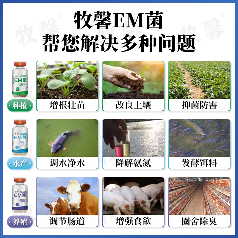 em菌种水产养殖种植专用益生菌粪便豆渣饲料发酵剂em菌粉em发酵菌-图1