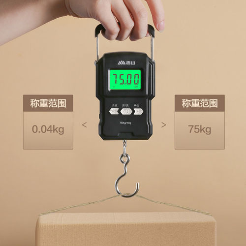 香山手提电子秤便携秤高精准度家用弹簧秤快递称买菜小型手提秤 - 图0