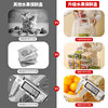 Compartment fruit lunch box for primary school children with spring outing