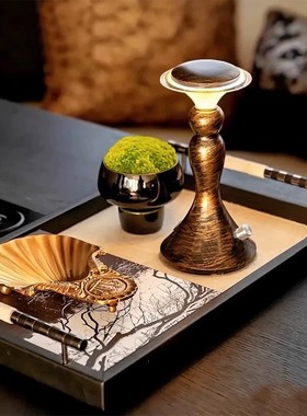 现代中古书房黄铜果盘桌面装饰摆件样板间客厅苔藓盆栽马毛托盘