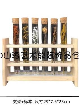 现代样板间书房书柜植物主题浮游花瓶花艺摆件试管干花标本装饰品