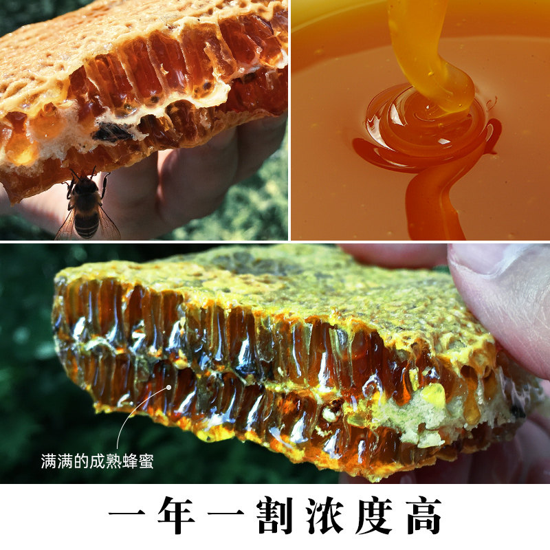 【深山老巢土蜂蜜】中华农家土蜂蜜 璞匠蜂蜜