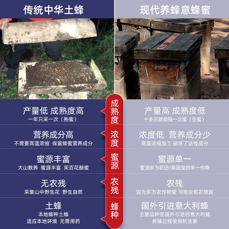 【深山老巢土蜂蜜】中华农家土蜂蜜 璞匠蜂蜜