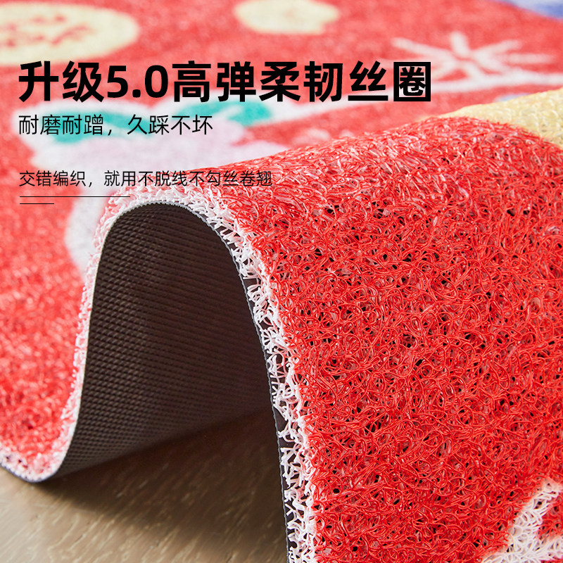 高级感红色入户门地垫大门口进门专用防滑耐脏免洗脚垫新中式地毯,淘宝优惠券,粉丝福利购,淘宝优惠卷