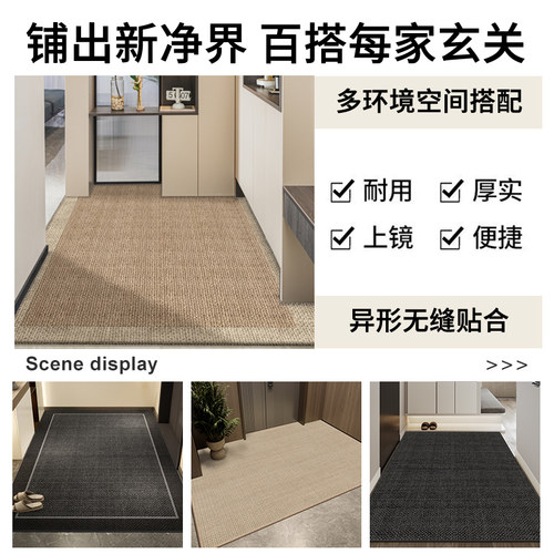 入户门地垫2026新款高级感进门地毯门口家用门垫玄关脚垫可裁剪 - 图2