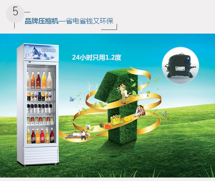 snowsea /香雪海展示柜冰柜饮料柜 香雪海冷柜