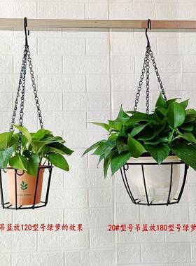 阳台悬挂花架简约铁艺吊篮花盆挂架吊兰悬挂架多肉挂篮绿萝花盆悬