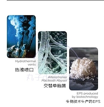 加拿大Lucas Meyer深海发酵产物 Y焱敏保湿修复舒缓退红 原料 - 图0