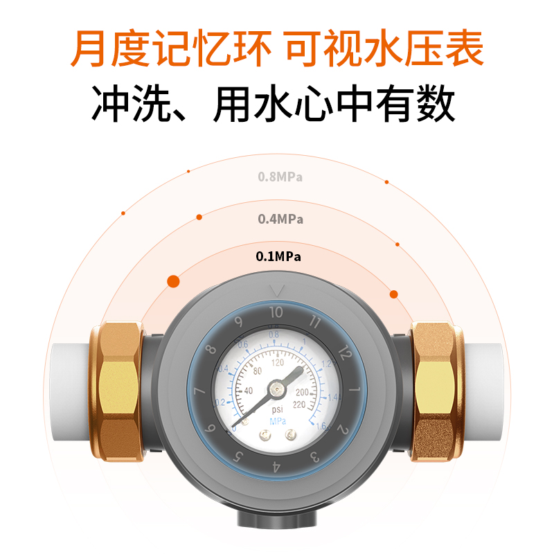 九阳前置过滤器净水家用自动反冲洗全屋自来水免换芯大流量RQ350 - 图2