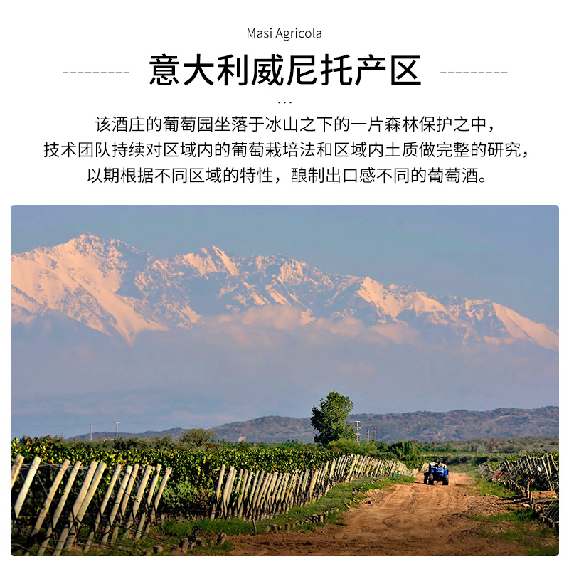 意大利进口 MASI玛希瓦尔普利切拉经典坡地红葡萄酒Valpolicella - 图2