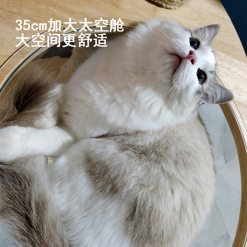 实木猫爬架带太空舱缅因猫架子超大号猫咪布偶猫窝猫爬柱一体大型-图2