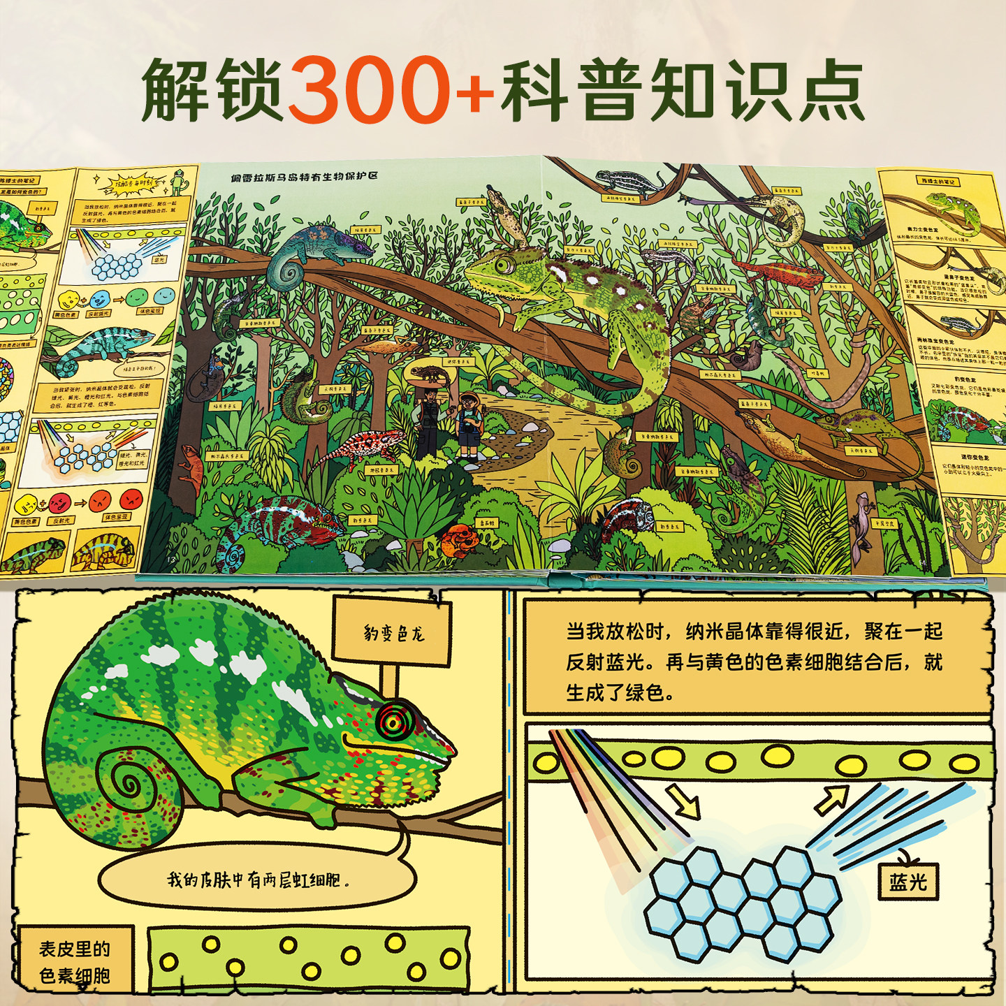 动物博士科考日志马达加斯加奇遇记科普翻翻立体书儿童3d百科全书博士陈睿3-6-9-12岁小学生课外阅读书籍生日益智玩具昆虫植物绘本
