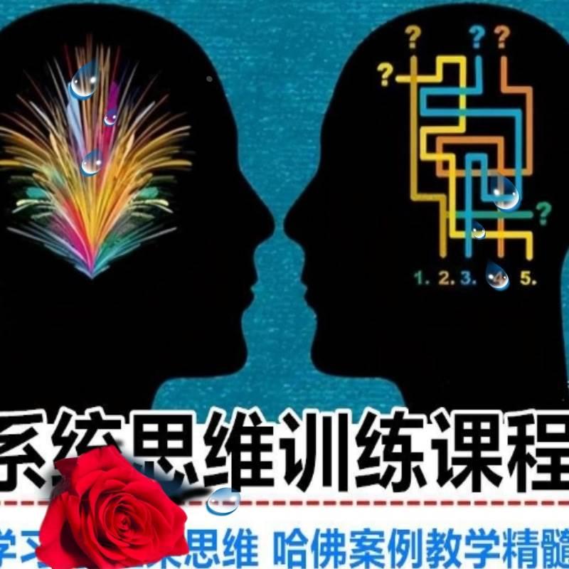 YouCore系统思维应用高级训练营中级训练营 职场学习力训练营教程 - 图1