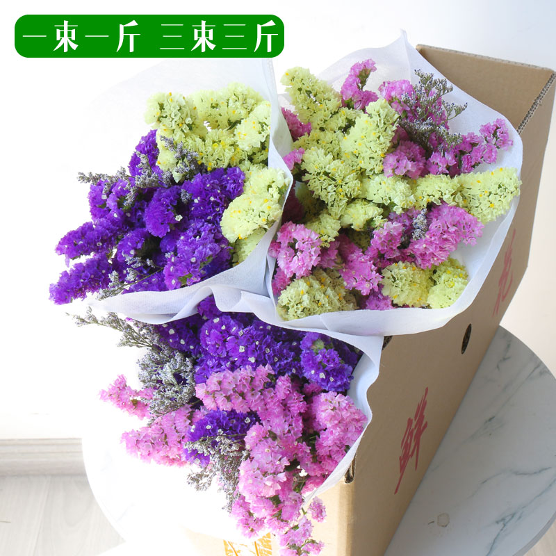 可插4瓶花 云南勿忘我满天星干花2斤 热品库 性价比省钱购