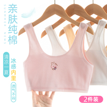 Girl Lingerie Hair Nursery School Pupils First Stage 10-12-14 Year Old Anti-Bump Girl Child Little Vest