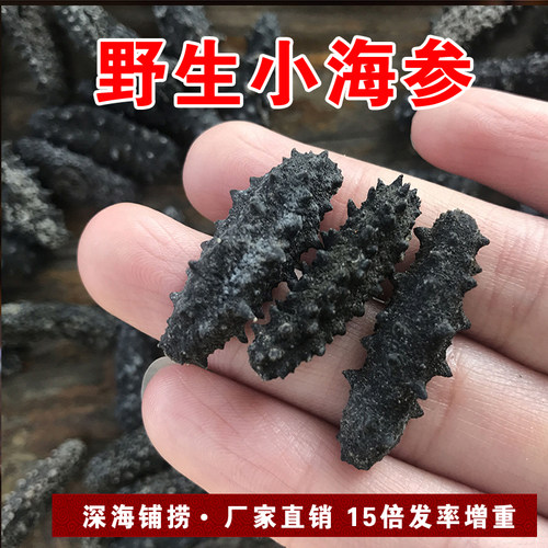 黑刺参海参6-8年纯野生淡干海参干货深海低播小刺参非大连辽参礼 - 图2