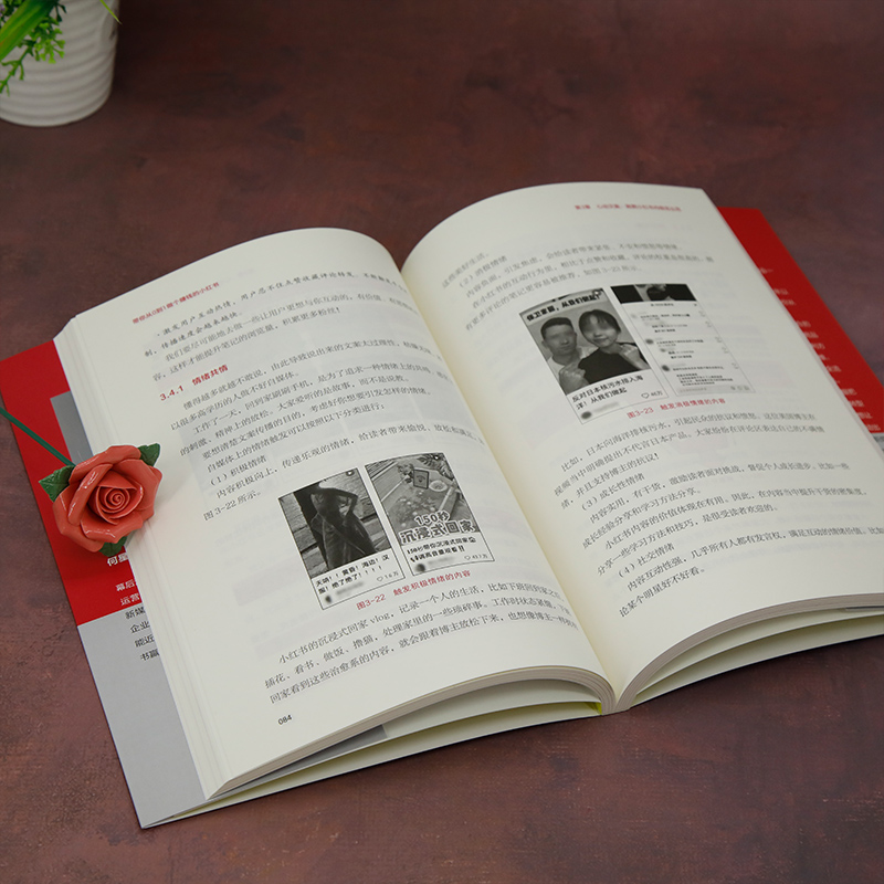 带你从0到1做个赚钱的小红书(新时代·营销新理念) 何星河 - 图2