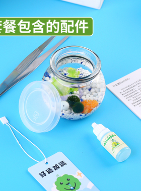 创意桌面生态瓶摆件工位装饰