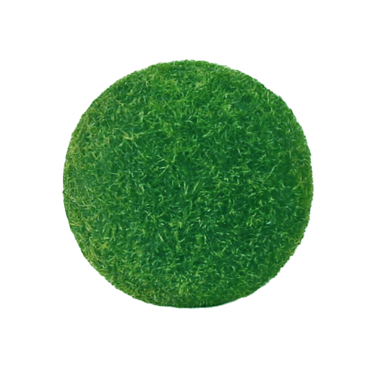 marimo海藻球生态瓶创意迷你盆栽桌面绿植水培植物球藻diy水藻球-图3