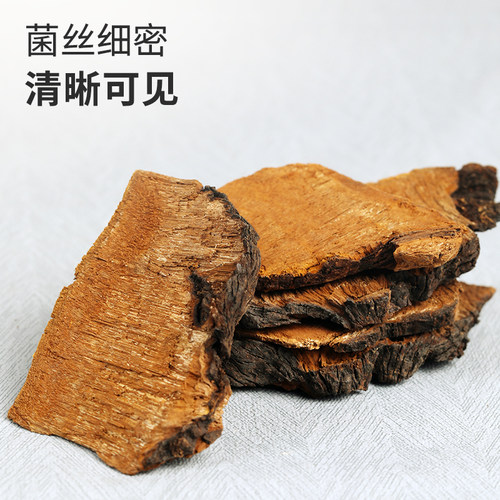 西藏桑黄灵芝菌正品非长白山野生非暴马桑黄整支灵芝送枸杞茶 - 图3