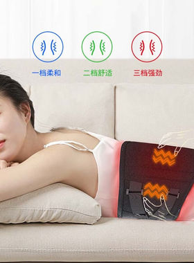 苏健（SUE）加热护腰带保暖热敷腰带理疗男女腰部充电按摩mm豪华