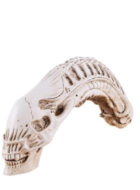 铁血异形头骨模型科幻电影骷髅头摆件树脂骷颅头万圣节毒液头骨