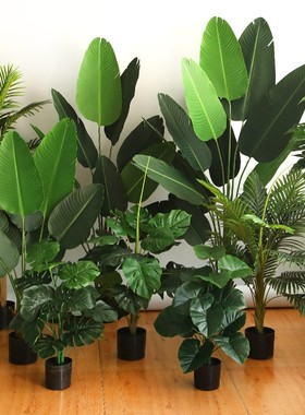 仿真绿植大型落地芭蕉树盆栽