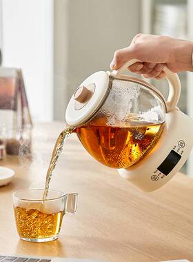 官方小熊煮茶器ZCQ-F10N7电茶炉蒸汽壶喷淋式蒸茶养生壶办公室泡