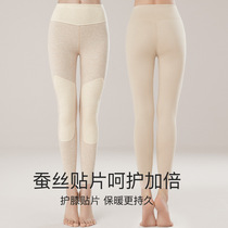 Japanese Duvet Warm Pants Woman Autumn & Winter Anti-static Down Fever No-Mark Wool Silk Patch High Waisted Underpants