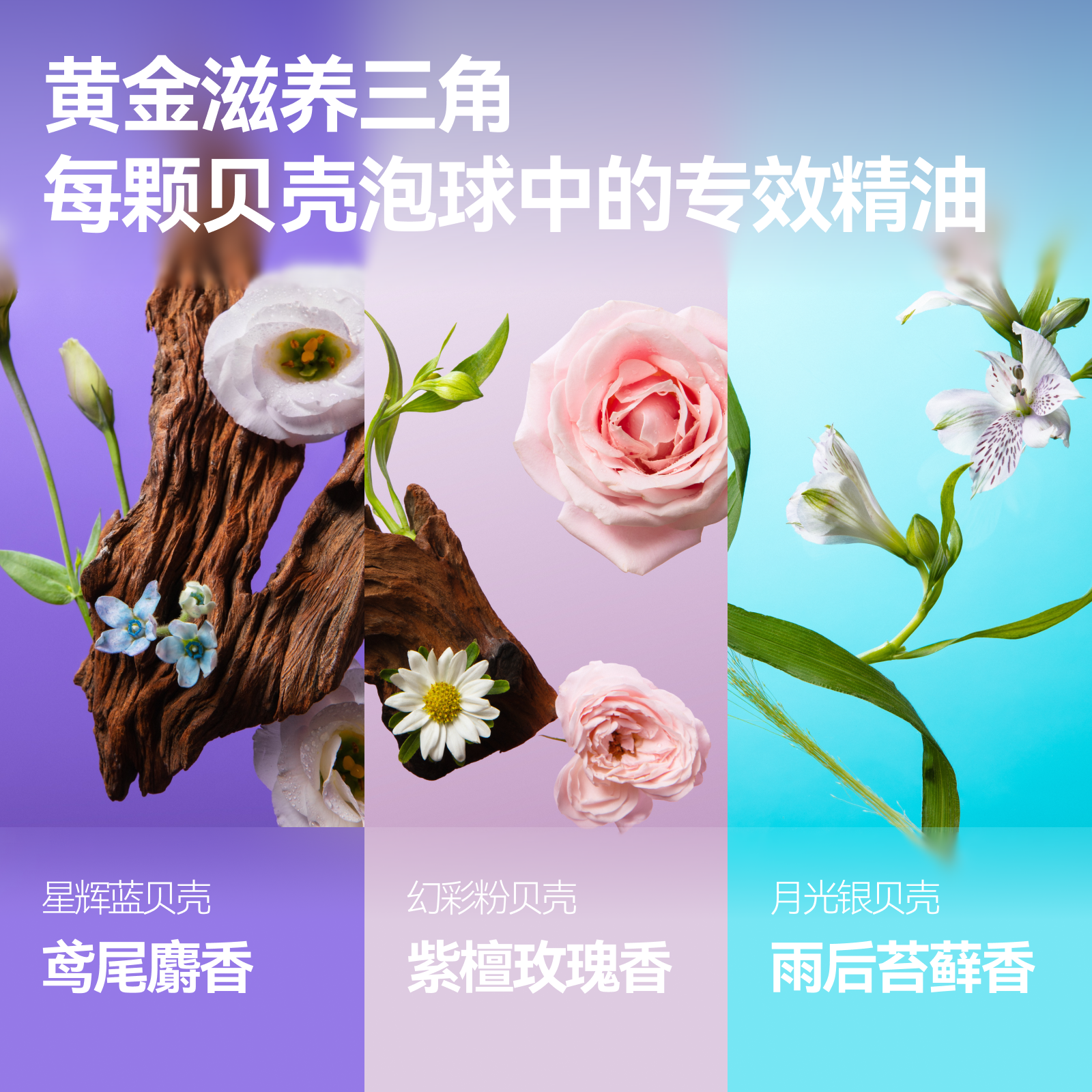 【立即抢购】Rever乐若贝壳巴洛克泡球礼盒泡澡球浴球香氛精油球,淘宝优惠券,粉丝福利购,淘宝优惠卷