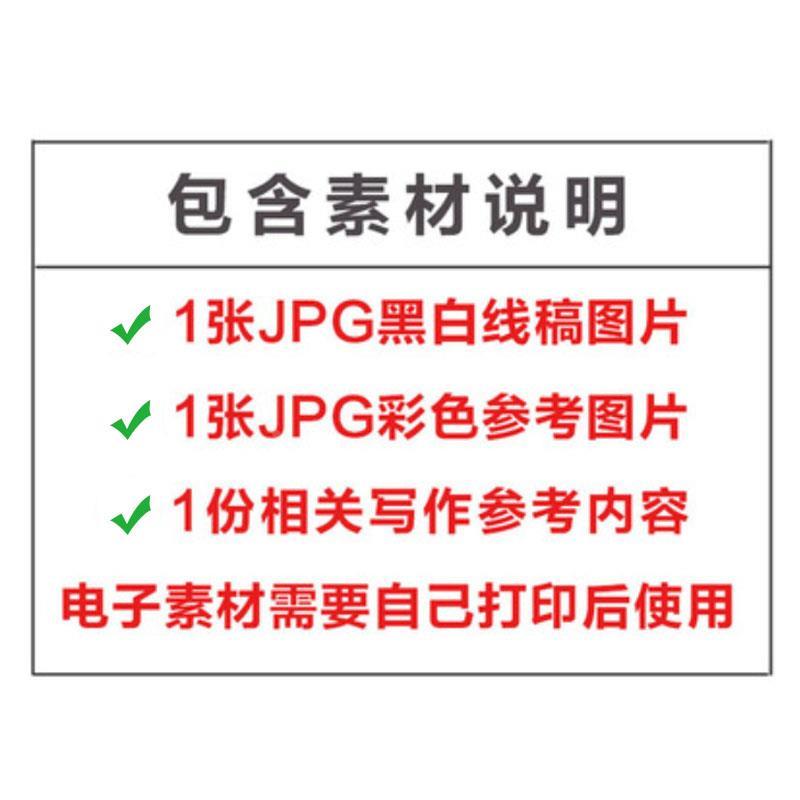 世界读书日小报小学生卡通空白手抄报黑白涂色线稿电子简单画62