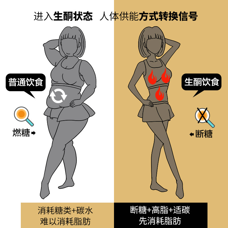 小于壹佰生酮能量棒24根断饱腹品糖 小于壹佰营养（消化）饼干