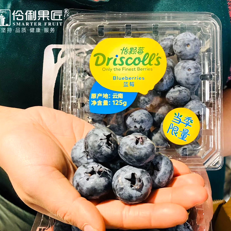 Driscoll's怡颗莓6/12盒蓝莓当季限量特大果新鲜水果孕妇宝宝辅食 - 图1