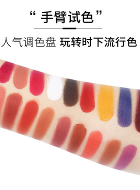 卡梅拉18色口红盘唇彩