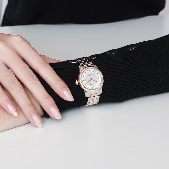 Tissot天梭1853力洛克机械间金钢带女表商务气质瑞士手表官方正品