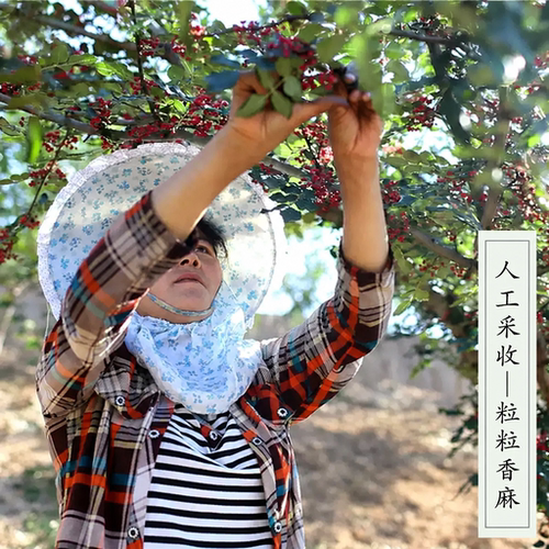 汉源花椒特麻大红袍麻椒四川小米辣特辣干辣椒川菜调料调味品麻辣 - 图0
