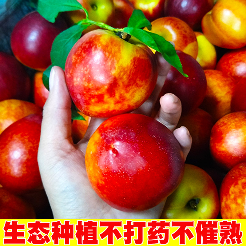 现货黄心油桃5斤桃子应季当季新鲜水果整箱黄肉超甜脆桃10包邮D-图2